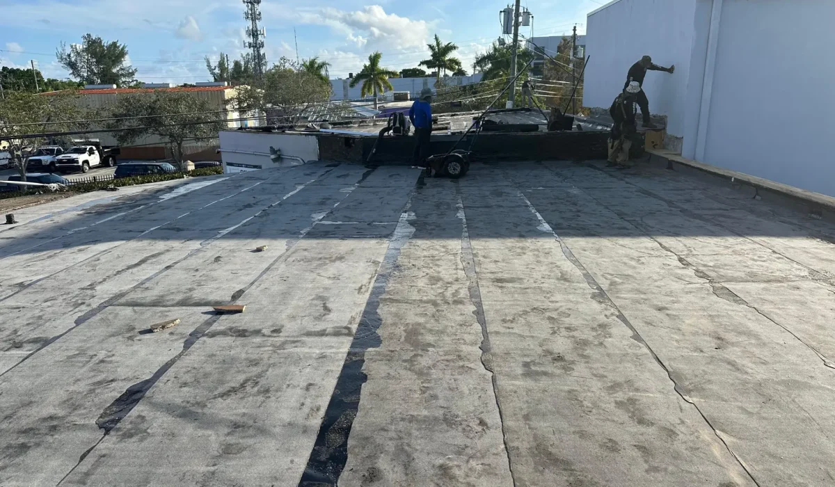EP-Roofing-68-scaled