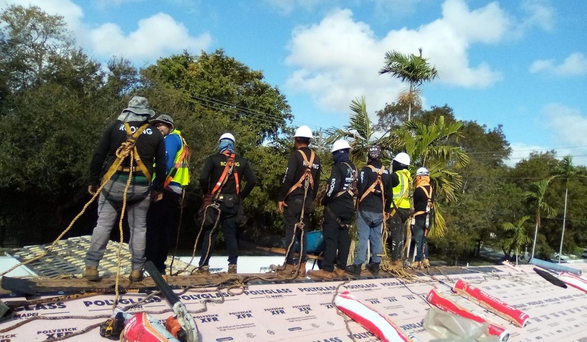 Shingle-Roofing-6